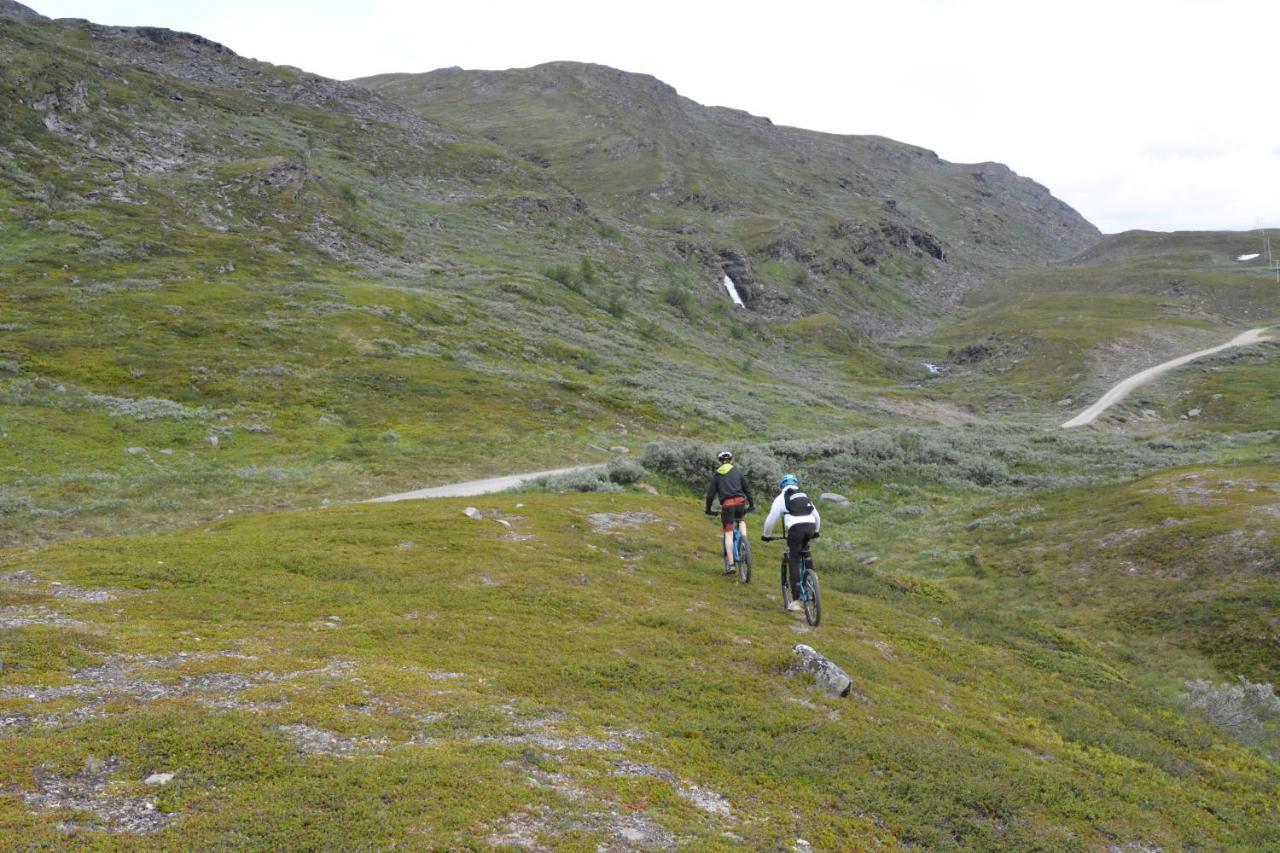 Basecamp Birtavarre Dış mekan fotoğraf
