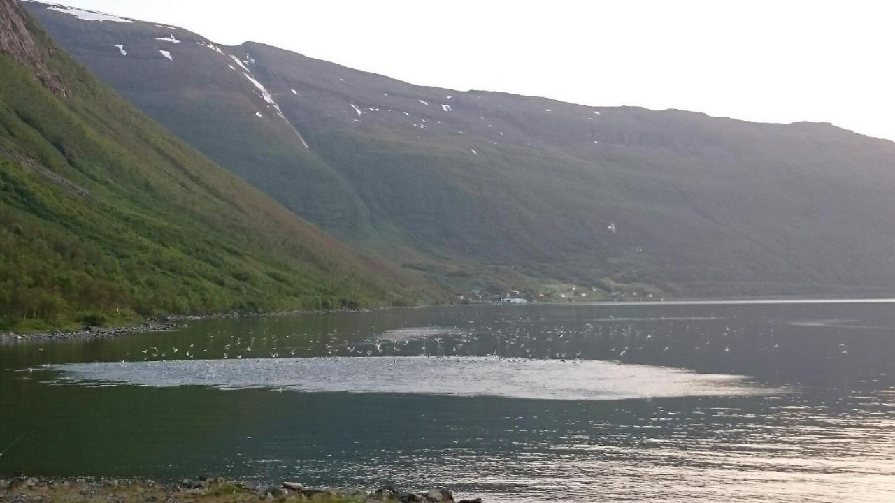 Basecamp Birtavarre Dış mekan fotoğraf